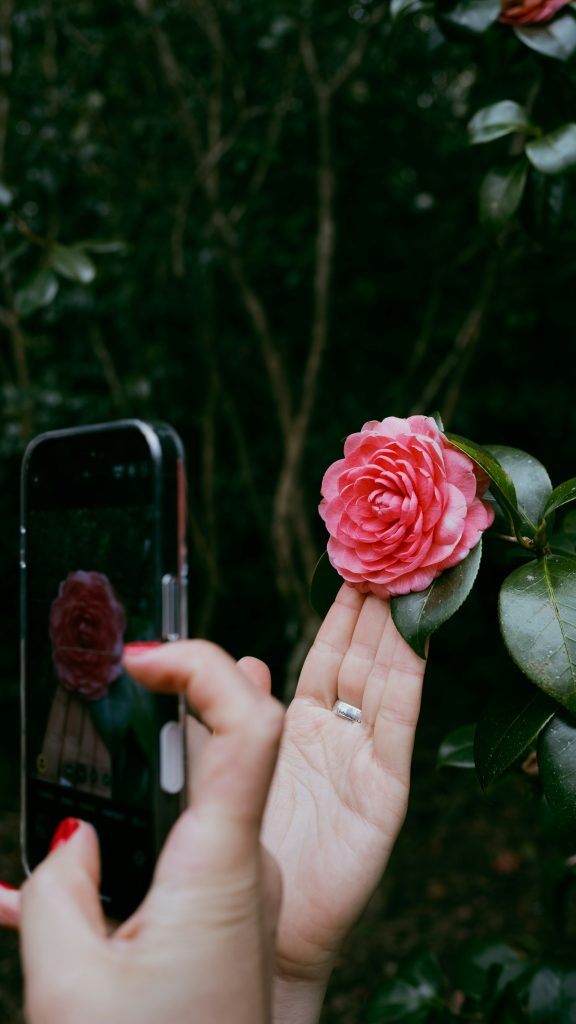 aleksandr zaitsev ricaziuulfa unsplash